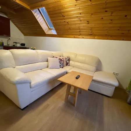 Apartman Bosili Mojstrana