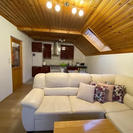 Apartman Bosili *